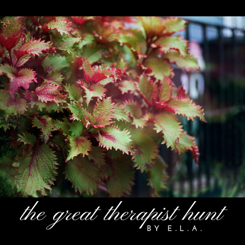 THE GREAT THERAPIST HUNT